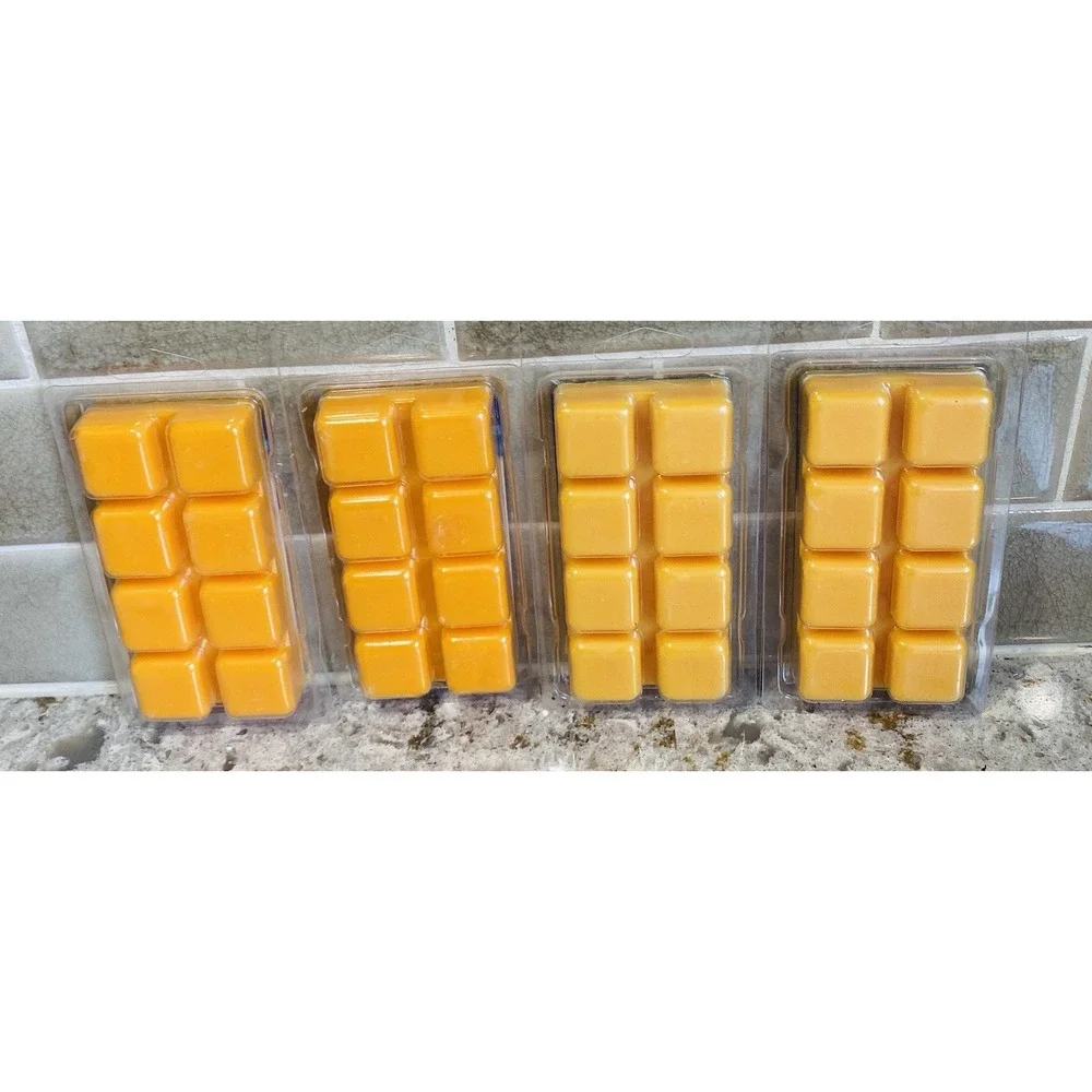 RARE Hostess Wax Melts Bundle: (2) Twinkies & (2) Orange Cupcakes Discontinued